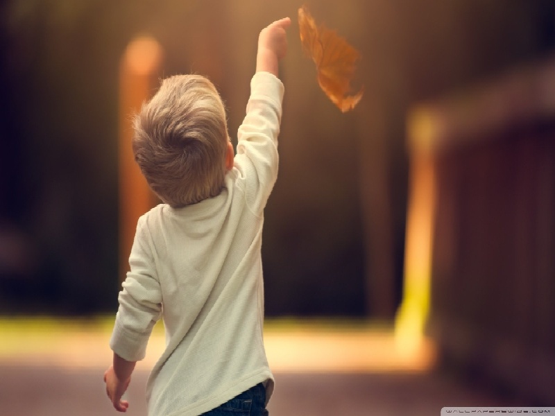 兰州非经期试管建档（做第二试管婴儿费用）